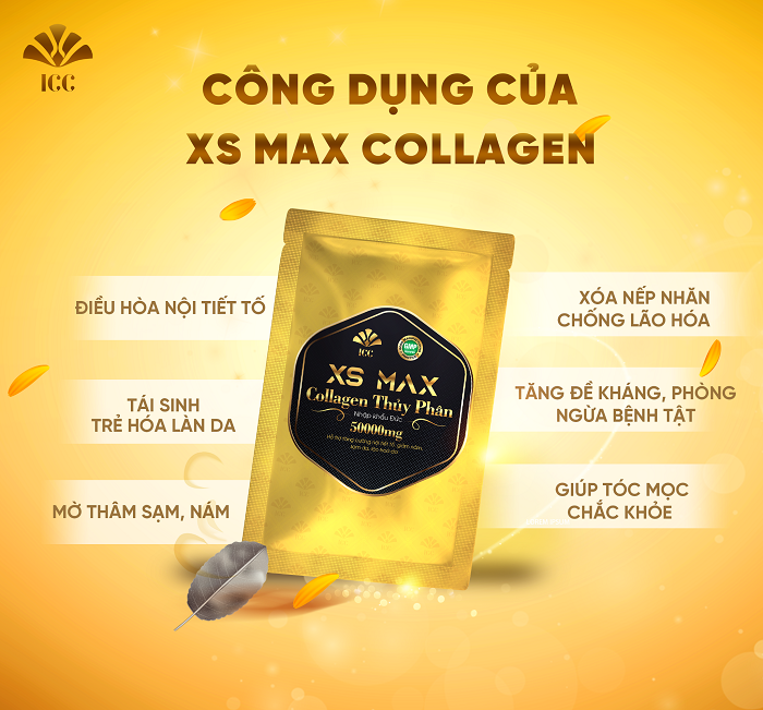 voi-xs-max-collagen2-1653639298.png