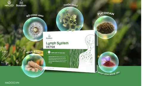 Lymph System Detox - Cuộc cách mạng trong chăm sóc sức khỏe hệ bạch huyết